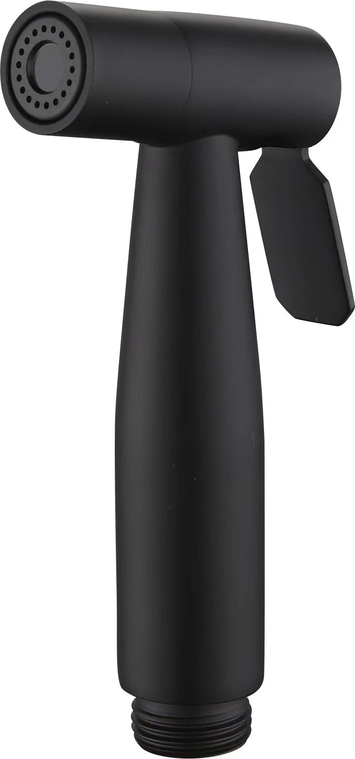 S-BSS002.jpg